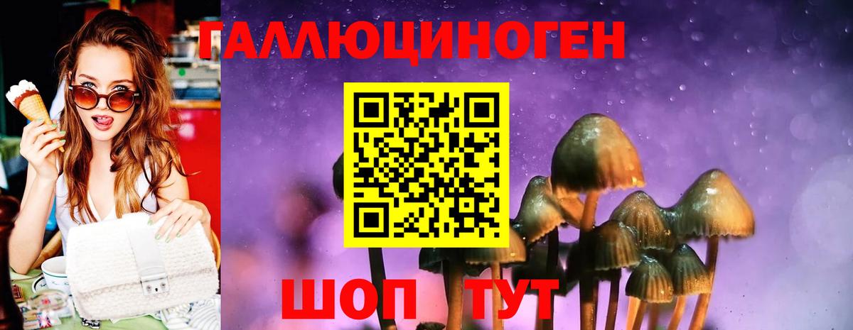 Волоколамск  Галлюциногенные грибы Psilocybine cubensis  Вход с VPN 
